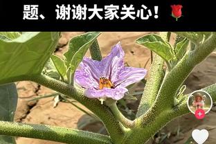 末节18-35！克利福德：我们确实在努力竞争 对手在末节的防守很棒